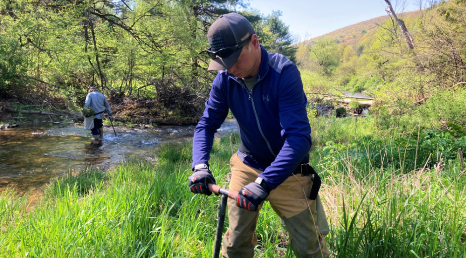 planting trees along Cross Long Run